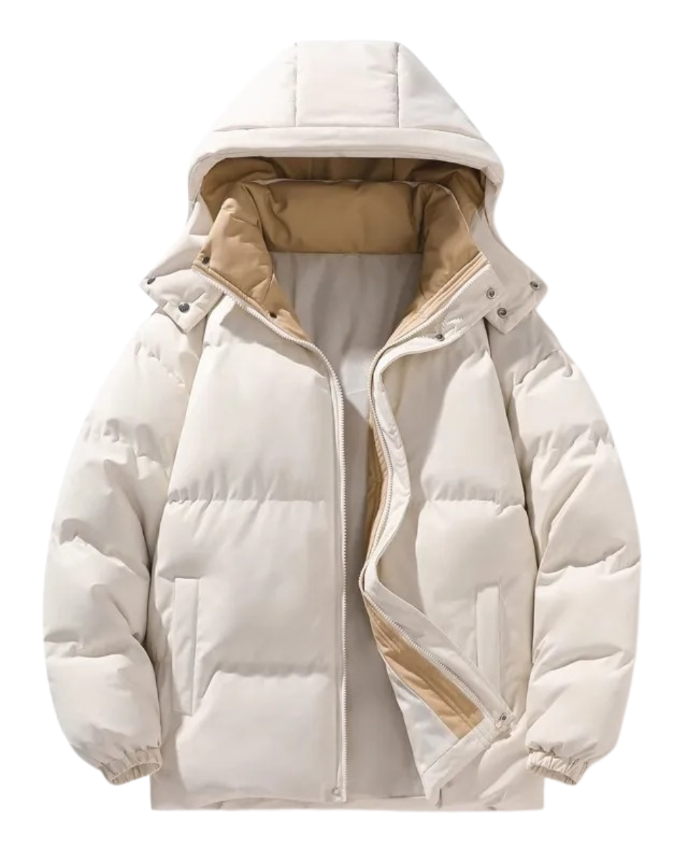Elegant men's hoodie jacket