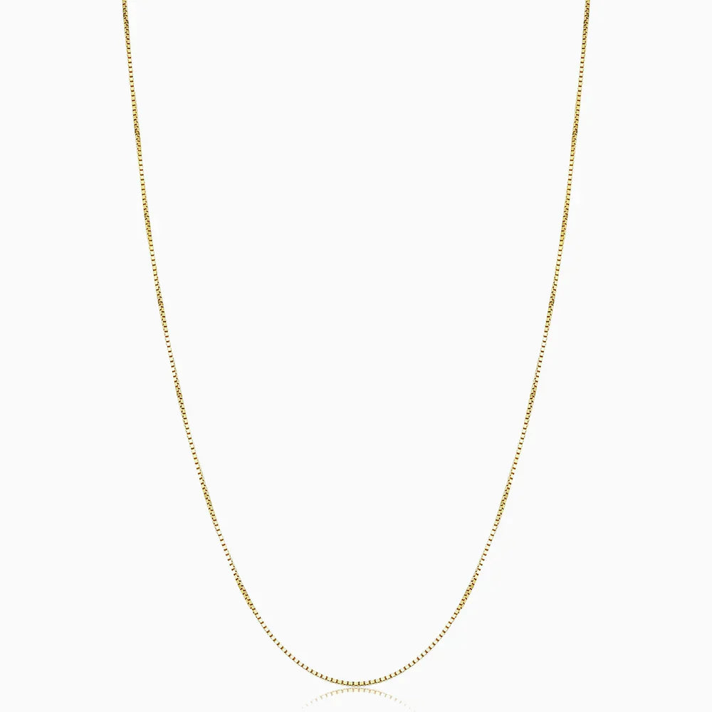 Collar Bodega Box